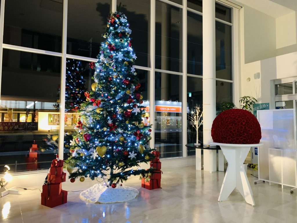 本店にクリスマスツリーを設置しました！